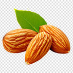 Vitamin E