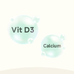 Helps with Nutrient Absorption
