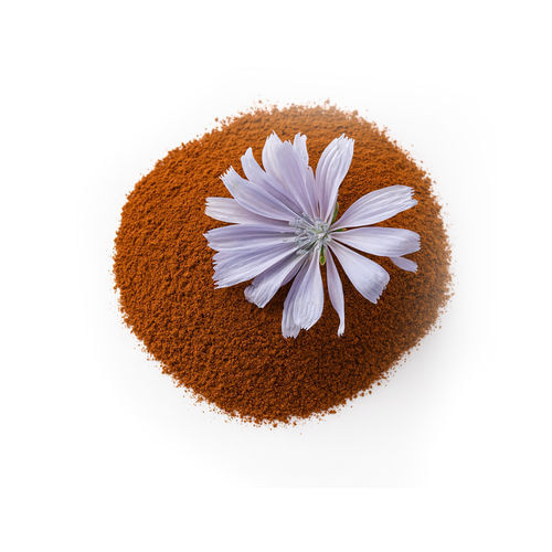 Chicory Root