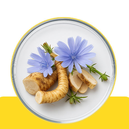 Chicory Root (Fibre)