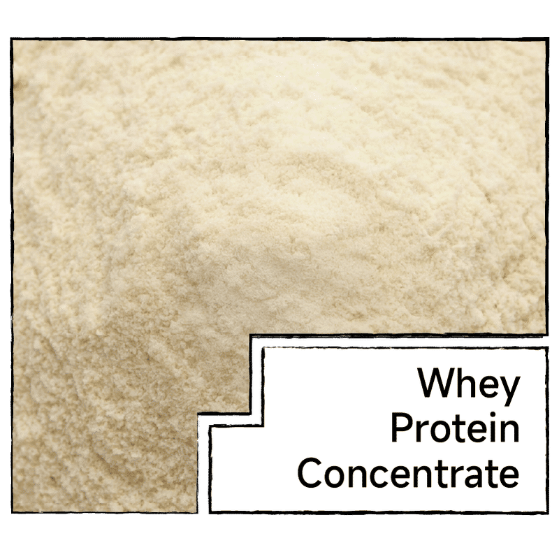 whey protein concentrate
