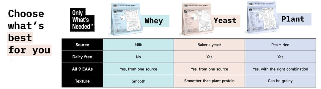whey vs plant 