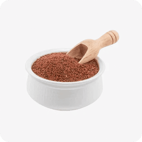 Ragi Millet