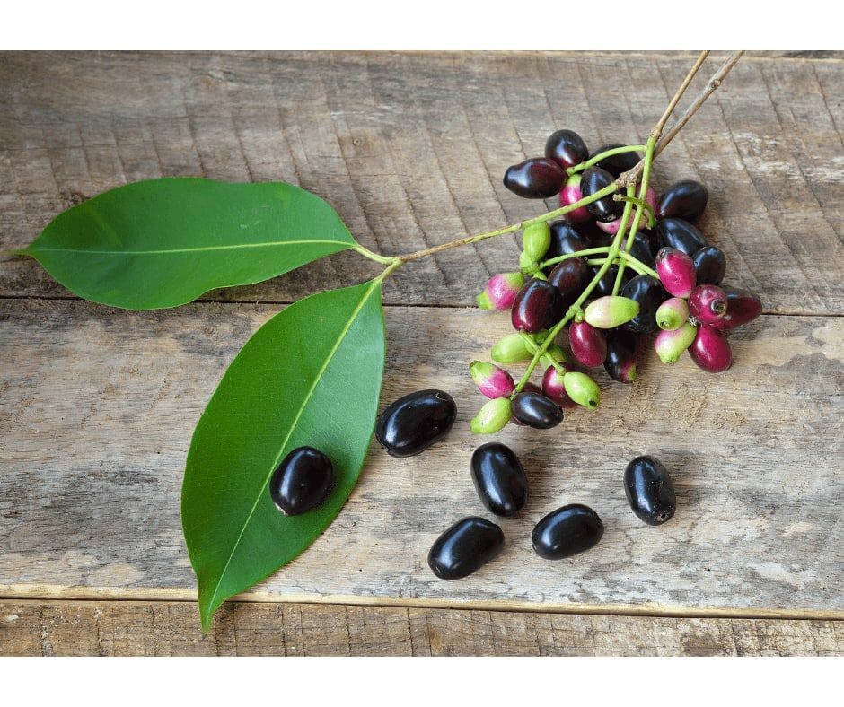 5 Secret Java Plum Benefits For Women