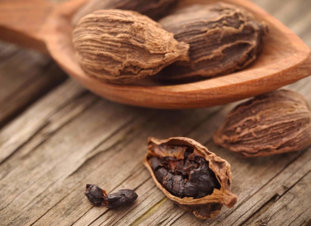 Black Cardamom (Badi Elaichi) Benefits, Uses, Recipes, Price, More