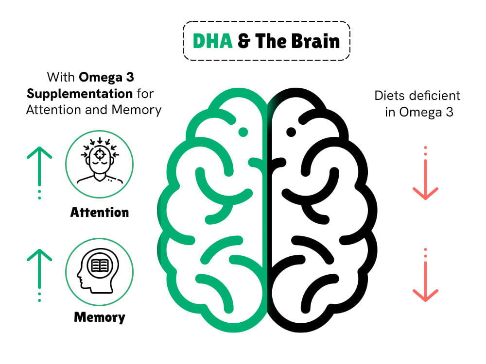 how dha helps in kids brain development