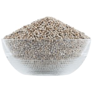 Bajra