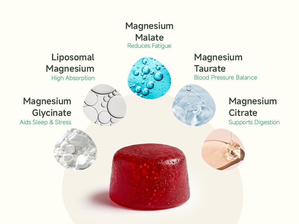5-in-1 magnesium gummy ingredients
