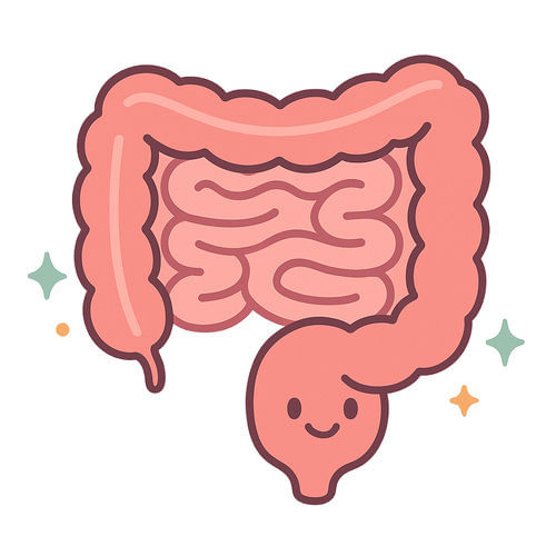 Better gut health