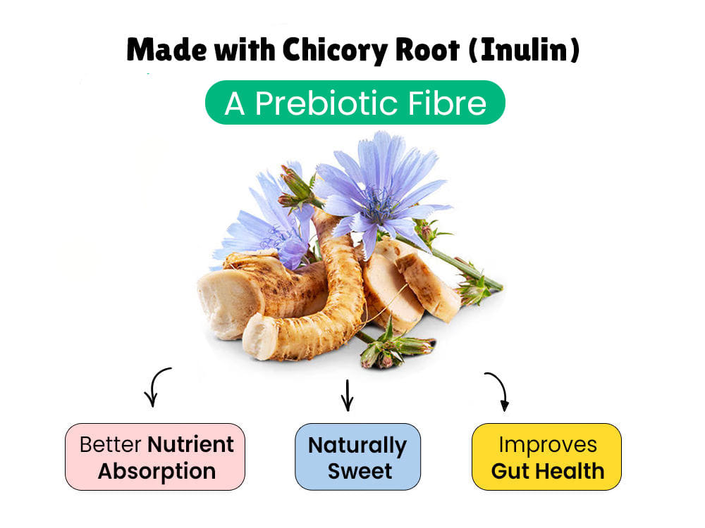 chicory roots fibre for kids