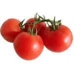 Tomatoes