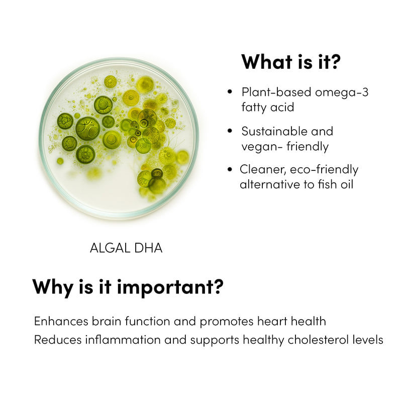 ALGAL DHA