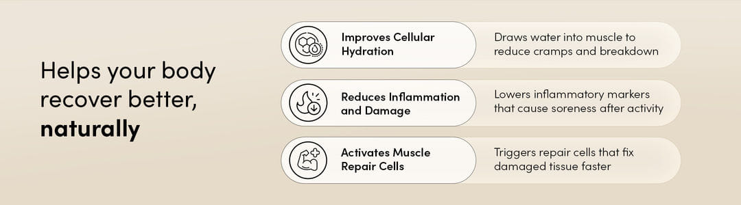 cost breakdown of foodpharmer whey protein