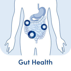 Gut Health