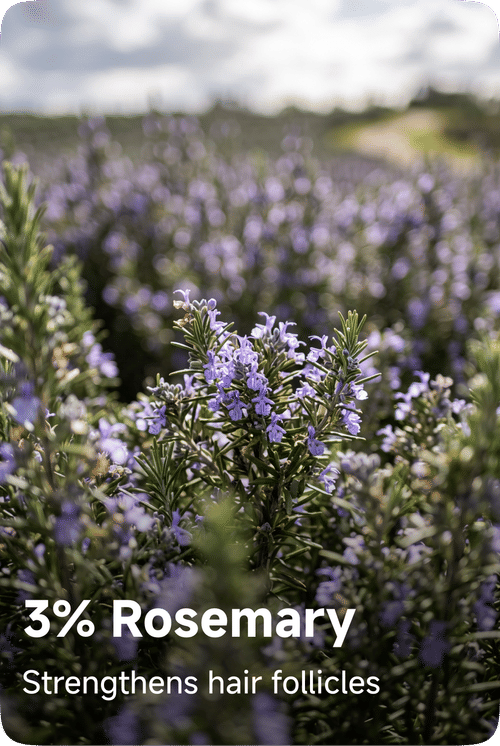 Rosemary