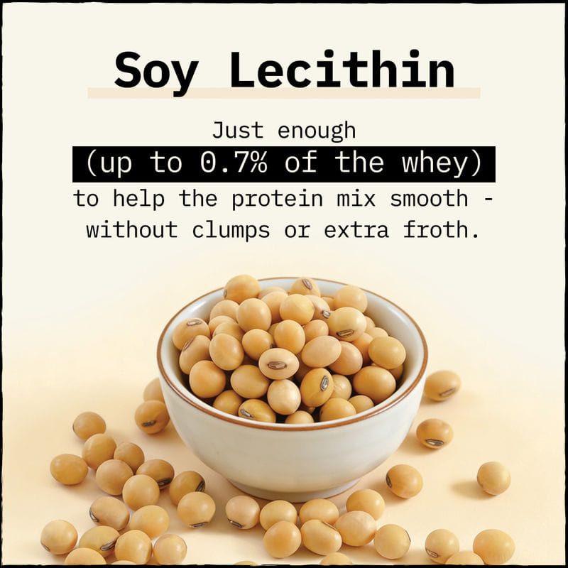 soy lecithin