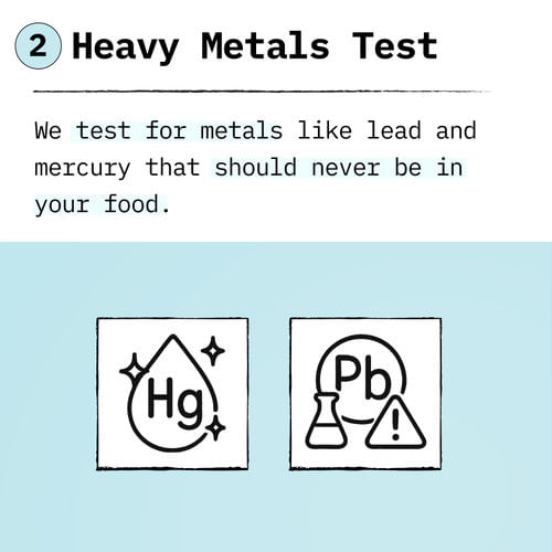 Example Image