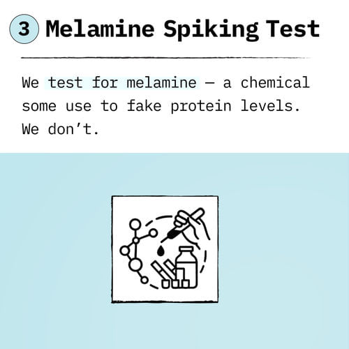 Example Image