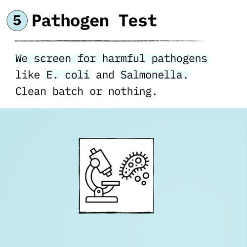 Example Image