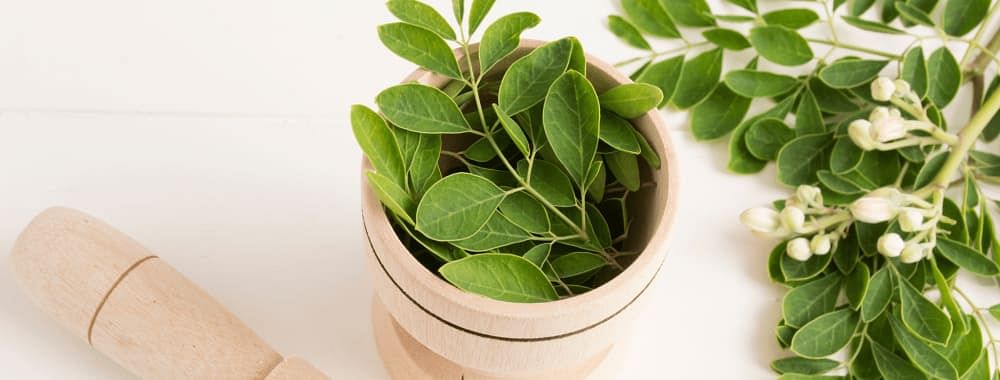 Moringa Leaf Benefits for Women  | Moringa Leaves for Weight Loss