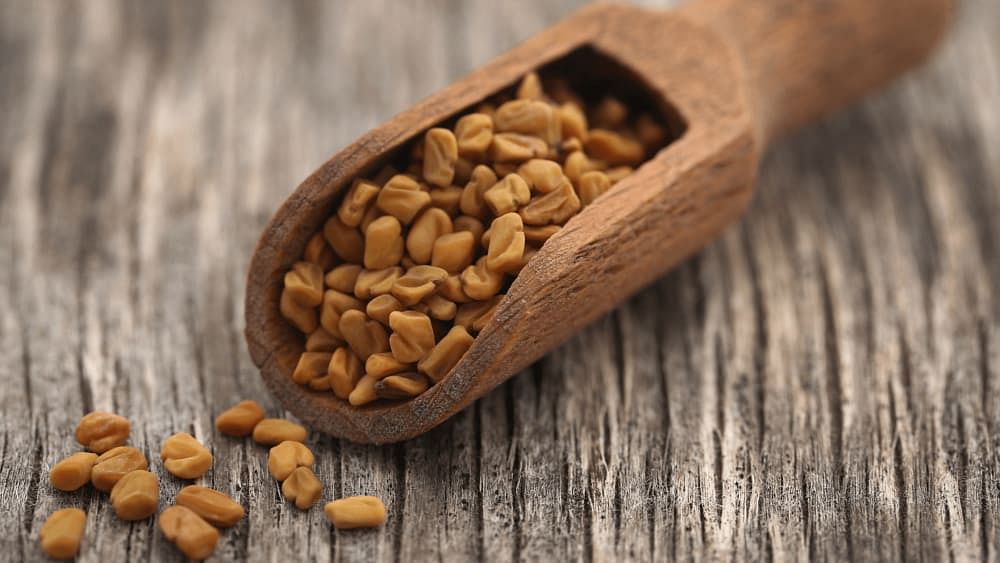 Fenugreek Seeds for Hair: Benefits, Side Effects & More