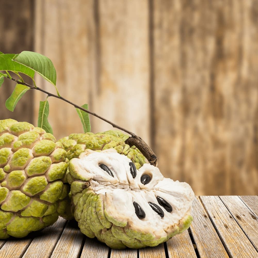 Can We Eat Custard Apple during Pregnancy?