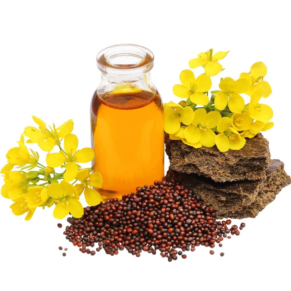 Mustard Oil For Hair Benefits Side Effects How to Use  More