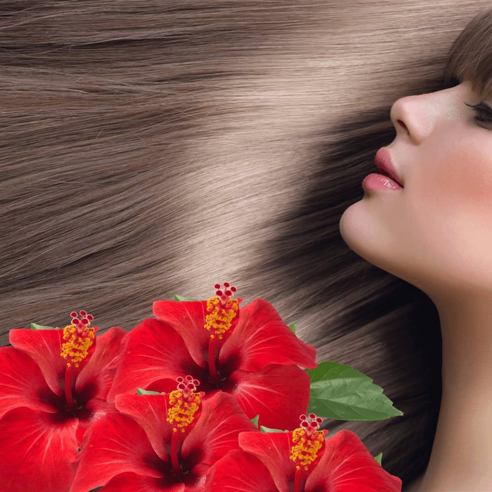 Buy Aravindh hibiscus hair oil 100ml Online - Ayush Care