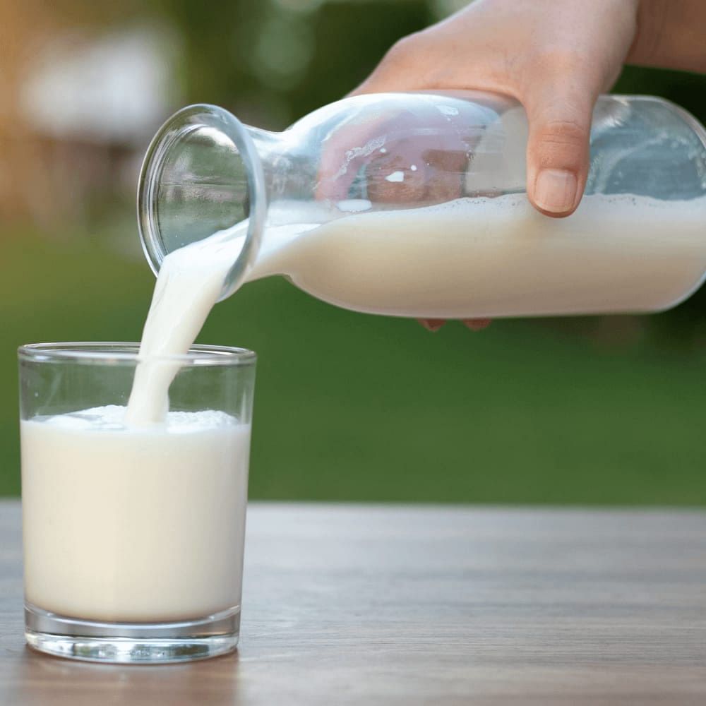 What it is SNF in Milk & How To Increase SNF In Milk?