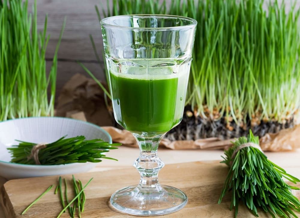 Wheatgrass Juice: Benefits, Uses, Side Effects and More