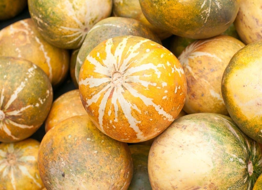 Muskmelon Benefits 101: 24 Reasons Why You Should Eat This Fruit