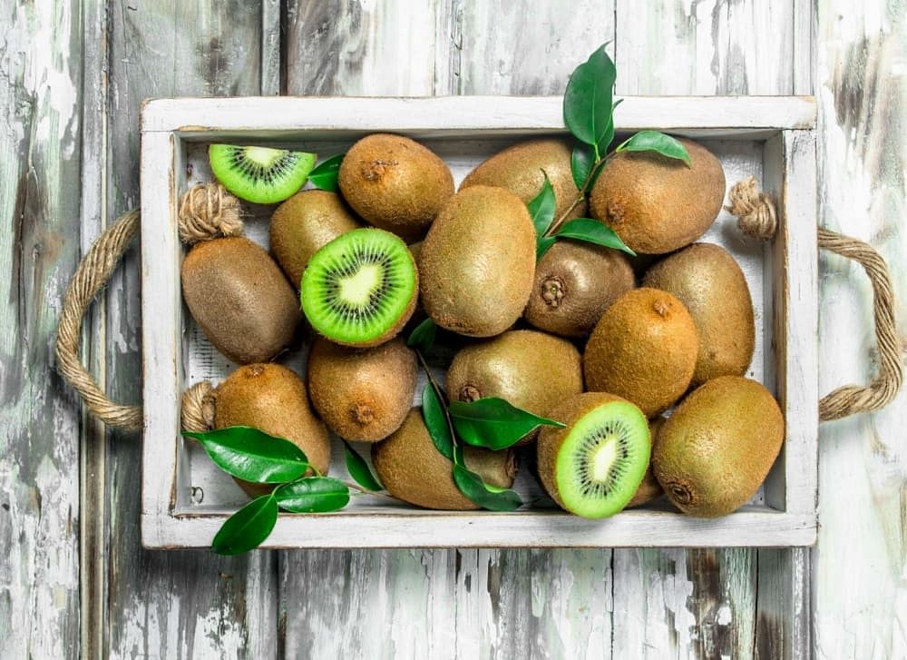 कीवी फल के फायदे, उपयोग और नुकसान | Kiwi Fruit Benefits, Uses & Side Effects