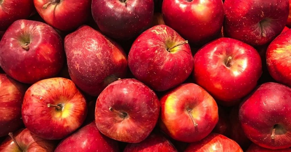 एक सेब में कितनी कैलोरी होती हैं | How Many Calories Are In An Apple in Hindi?