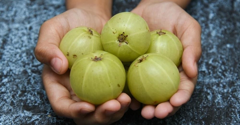 Surprising Amla Benefits for Your Health and Wellness
