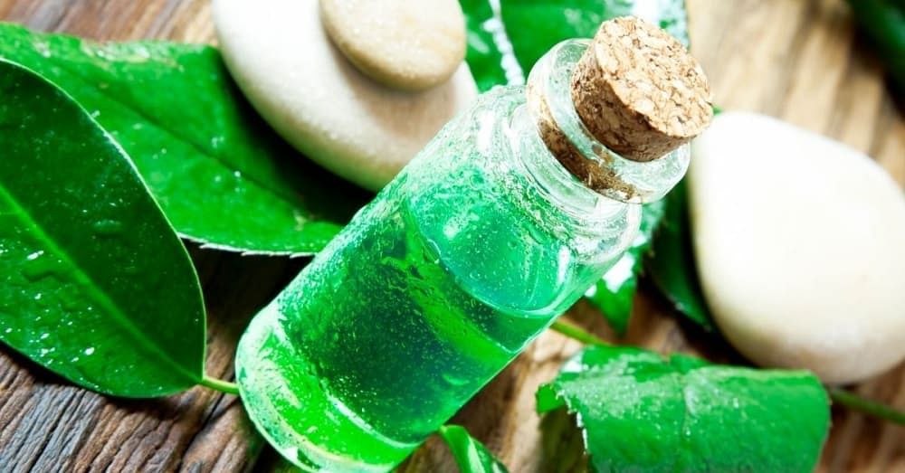 6 Popular Tea Tree Essential Oils For Beautiful Skin And Hair
