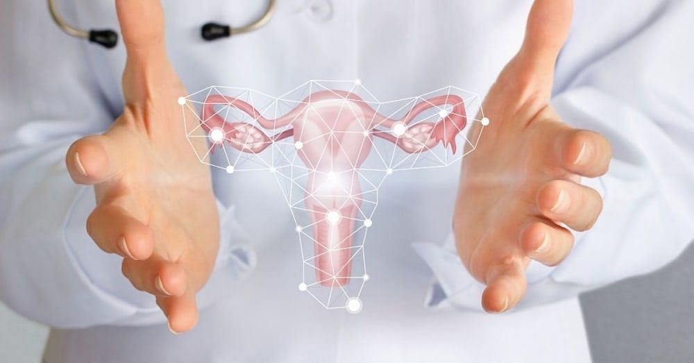 How to Clean Uterus After a Miscarriage Naturally: Steps to Take