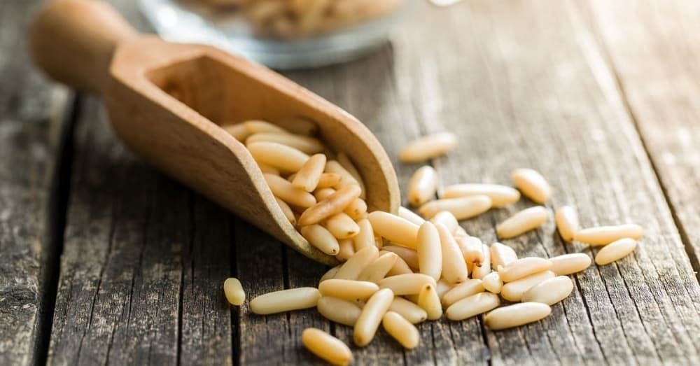 16 Amaizng Health Benefits of Eating Chilgoza (Pine Nut)