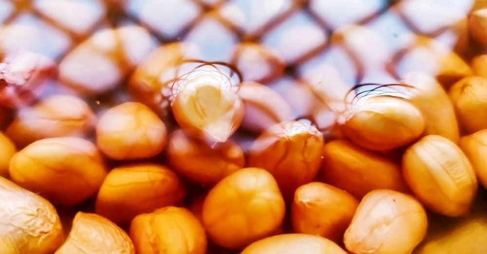 Everything You Need to Know about Soaked Peanut Benefits