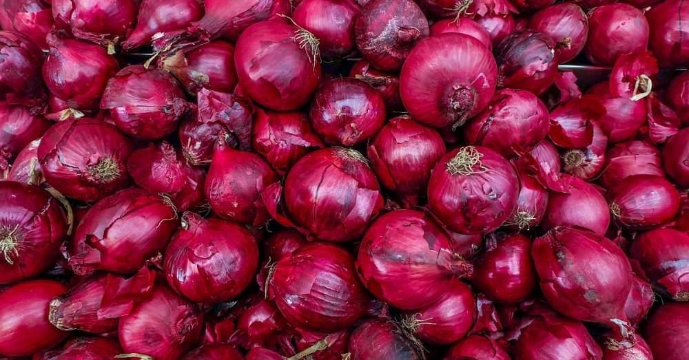 Top 6 Benefits of Onion Juice for Hair Backed By Science