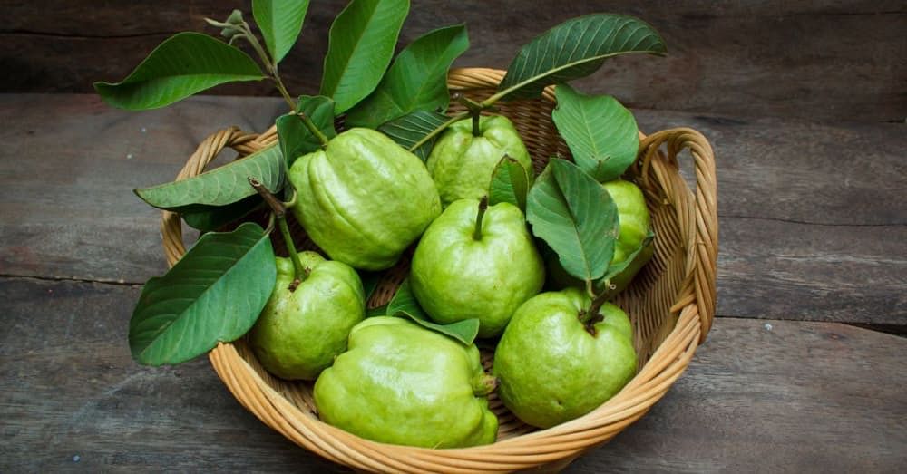 Discover 7 Amazing Benefits of Guava Leaves for Hair