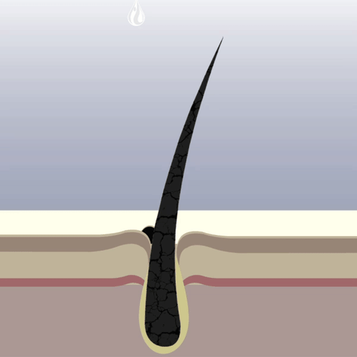 Reduction in Hair Breakage