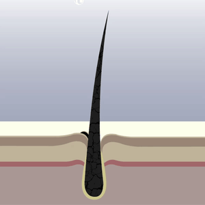 Hair texture improvement