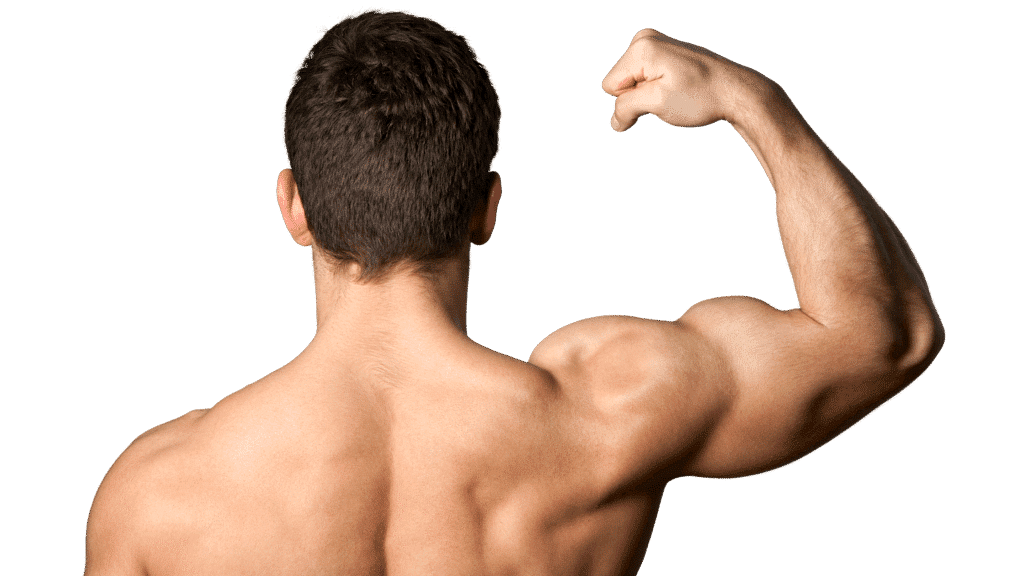 Gokshura plays a key role in bodybuilding