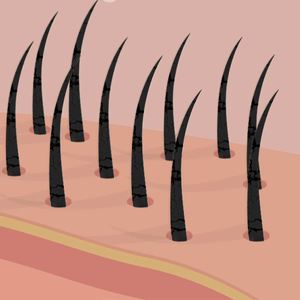 Hair Nourishment