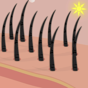 Protection from UV rays & heat damage