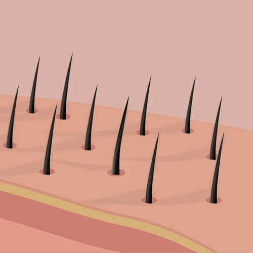 Hair Cuticle Strengthening