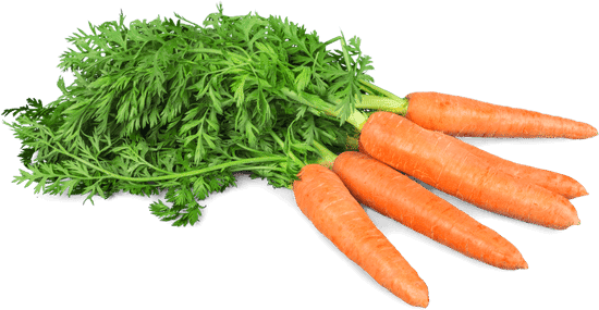 Carrots to improve male fertility