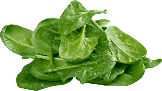 Spinach to improve male fertility