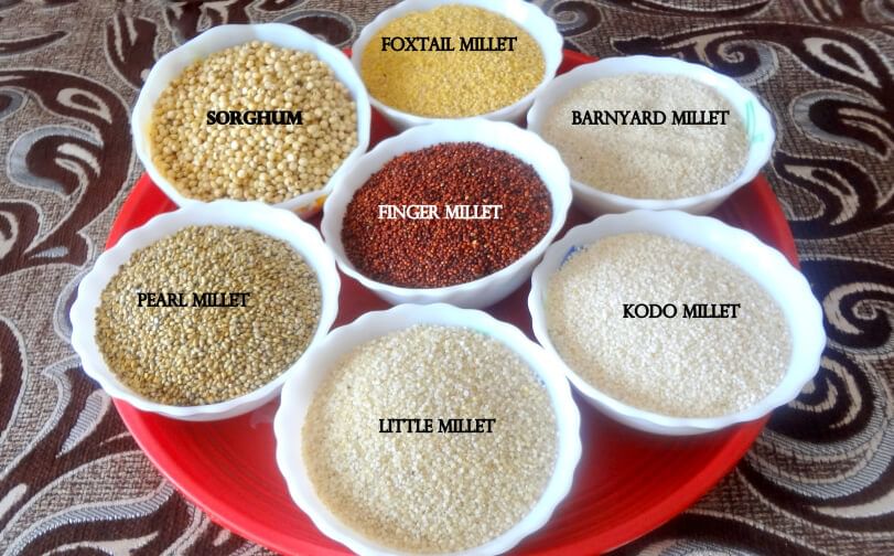 Men  Millet EN