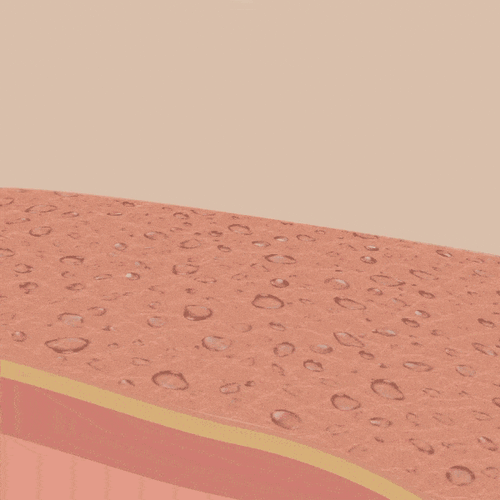 Absorbs sweat, reduces odour